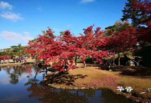 華咨水資源論證科技：創(chuàng)新論證方式，提升水資源利用效率