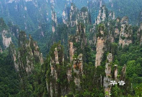 號外號外！大美張家界迎來本地社會穩(wěn)定風(fēng)險(xiǎn)評估（穩(wěn)評）報(bào)告編制單位！