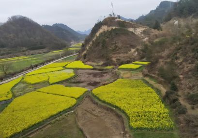 益陽地質(zhì)災(zāi)害安全性評估單位，益陽地災(zāi)評估，地災(zāi)評價機(jī)構(gòu)